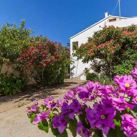 דירה With Parking Space Biograd Na Moru, Biograd - 11327