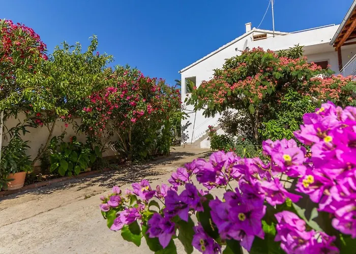 Apartment With Parking Space Biograd Na Moru, Biograd - 11327